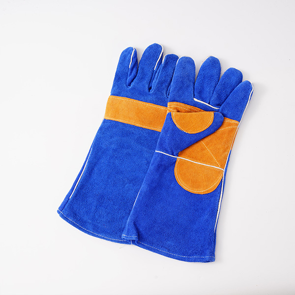 leather gloves DSC04460